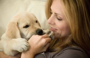 Навчаємо собаку слухати та не кусатися: ефективні поради