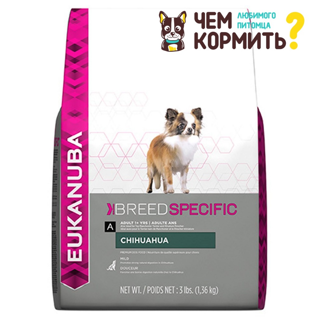 Корм для чихуахуа. Eukanuba Breed specific. Сухой корм для чихуахуа. Корм для собак чихуа. Корм для собак премиум для мелких пород чихуахуа.